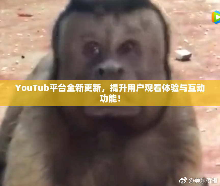 YouTub平台全新更新，提升用户观看体验与互动功能！