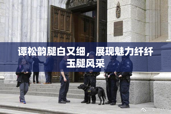谭松韵腿白又细，展现魅力纤纤玉腿风采