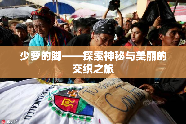 少萝的脚——探索神秘与美丽的交织之旅