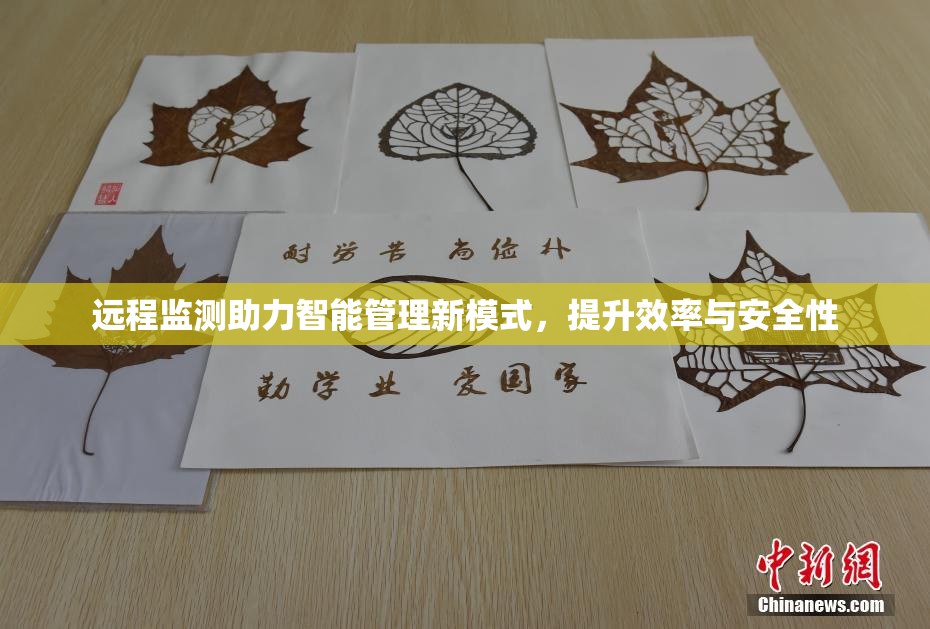 远程监测助力智能管理新模式，提升效率与安全性
