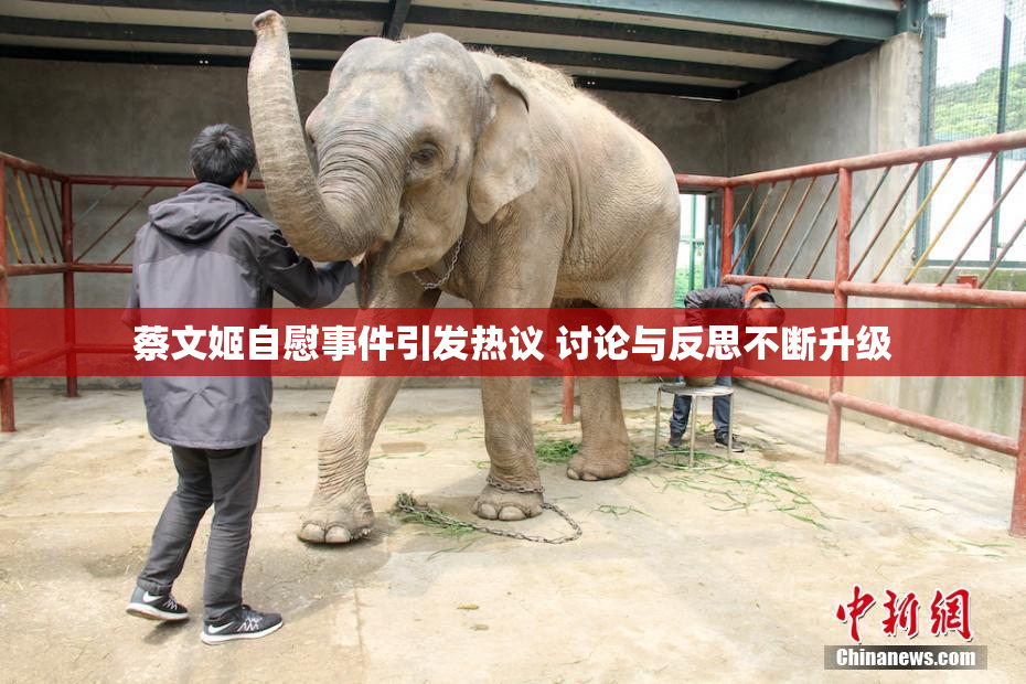 蔡文姬自慰事件引发热议 讨论与反思不断升级