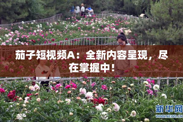 茄子短视频A：全新内容呈现，尽在掌握中！