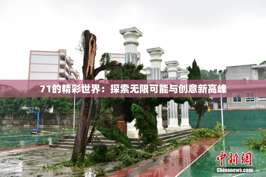 71的精彩世界：探索无限可能与创意新高峰