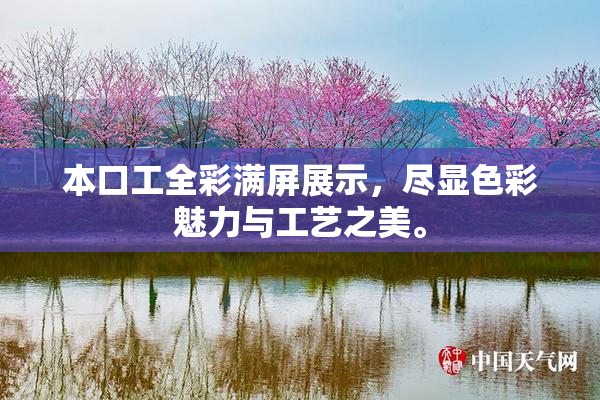 本口工全彩满屏展示，尽显色彩魅力与工艺之美。