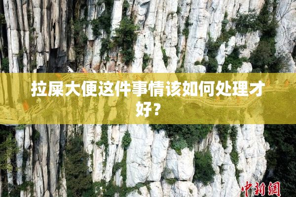 拉屎大便这件事情该如何处理才好？