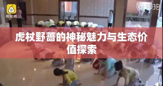 虎杖野蔷的神秘魅力与生态价值探索