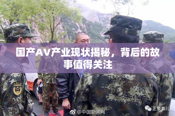 国产AV产业现状揭秘，背后的故事值得关注