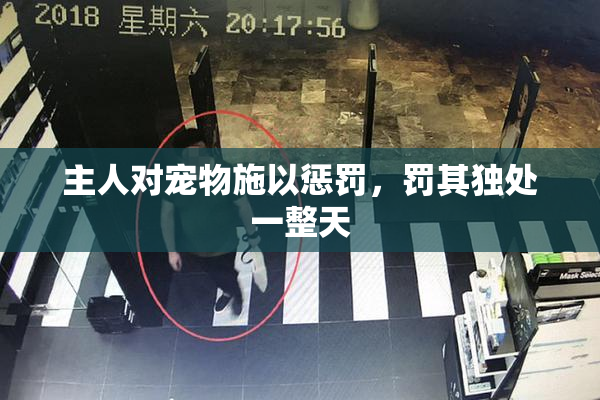 主人对宠物施以惩罚，罚其独处一整天