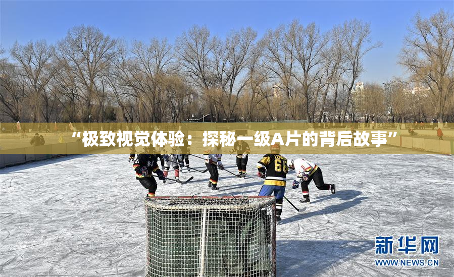“极致视觉体验：探秘一级A片的背后故事”