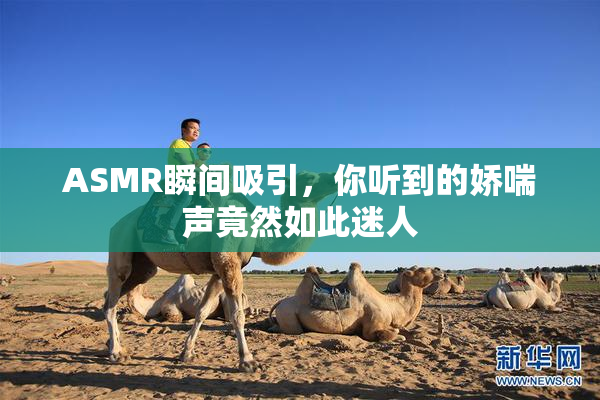 ASMR瞬间吸引，你听到的娇喘声竟然如此迷人