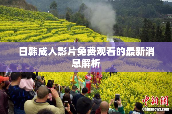 日韩成人影片免费观看的最新消息解析