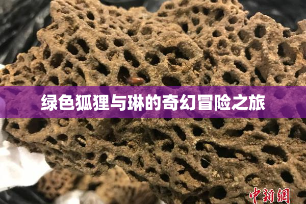 绿色狐狸与琳的奇幻冒险之旅