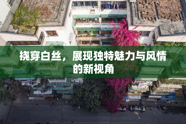 挠穿白丝，展现独特魅力与风情的新视角