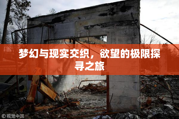 梦幻与现实交织，欲望的极限探寻之旅