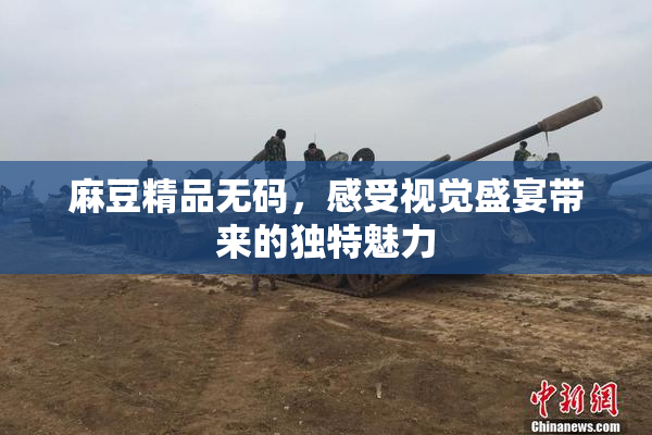 麻豆精品无码，感受视觉盛宴带来的独特魅力