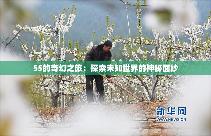 55的奇幻之旅：探索未知世界的神秘面纱