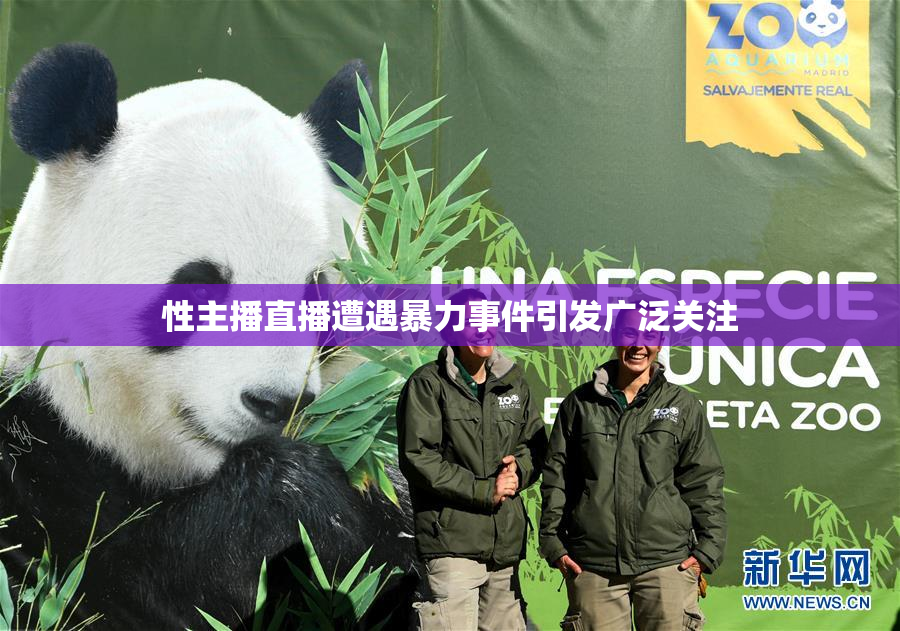 性主播直播遭遇暴力事件引发广泛关注