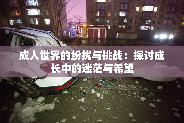 成人世界的纷扰与挑战：探讨成长中的迷茫与希望