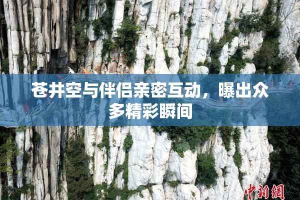 苍井空与伴侣亲密互动，曝出众多精彩瞬间