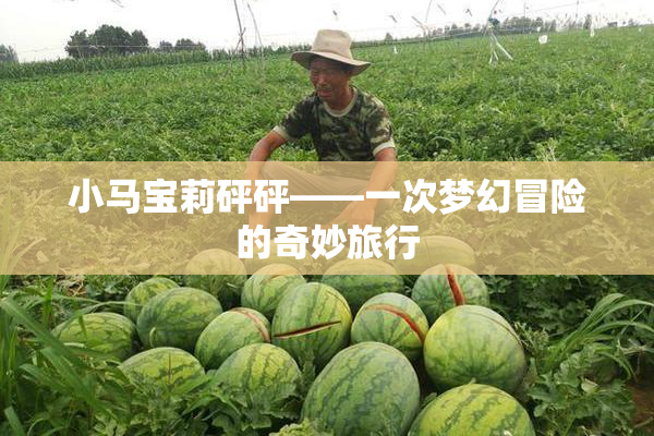 小马宝莉砰砰——一次梦幻冒险的奇妙旅行