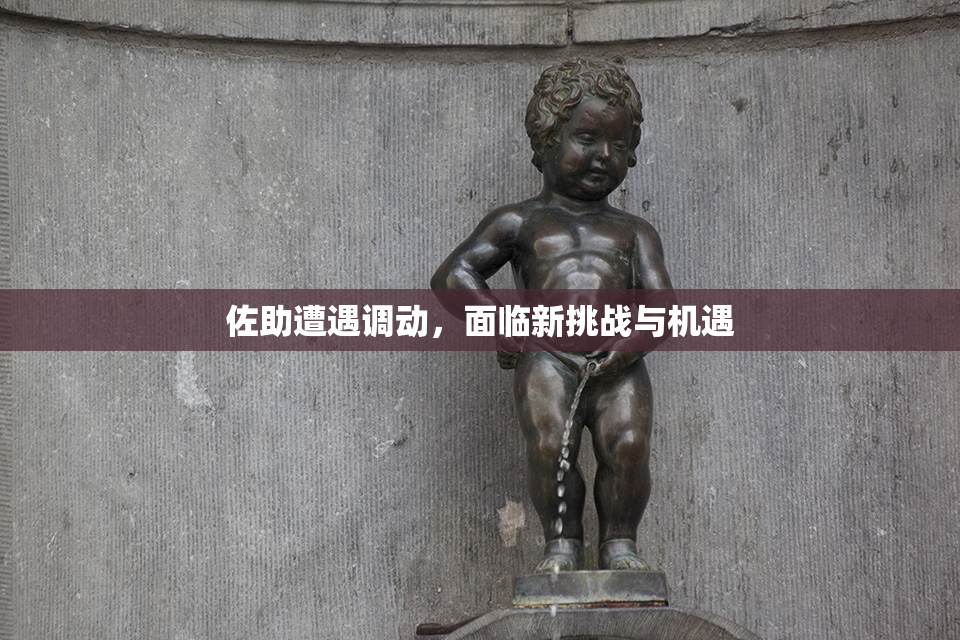 佐助遭遇调动，面临新挑战与机遇