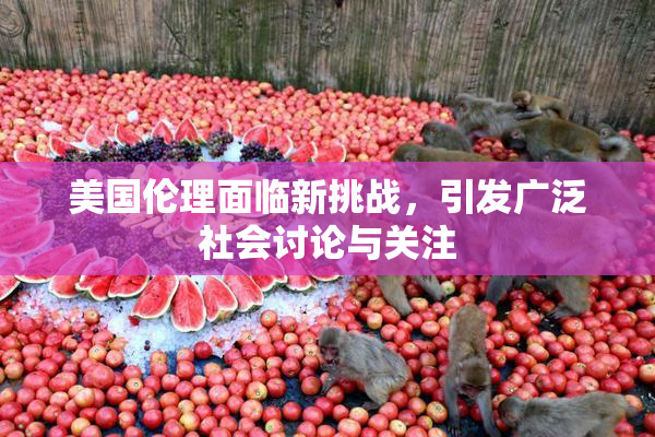 美国伦理面临新挑战，引发广泛社会讨论与关注