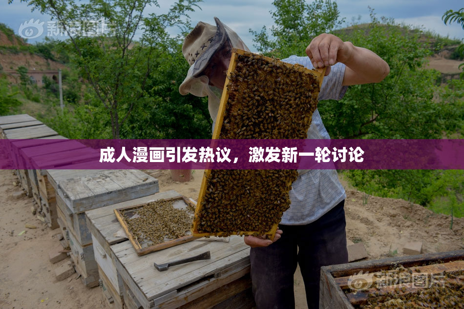 成人漫画引发热议，激发新一轮讨论