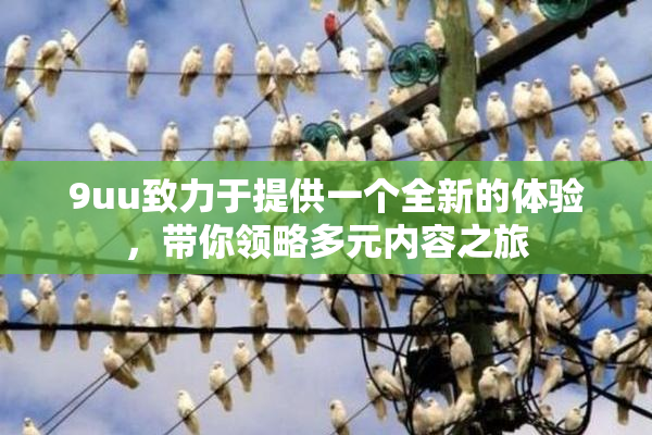 9uu致力于提供一个全新的体验，带你领略多元内容之旅