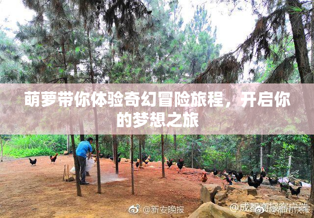 萌萝带你体验奇幻冒险旅程，开启你的梦想之旅