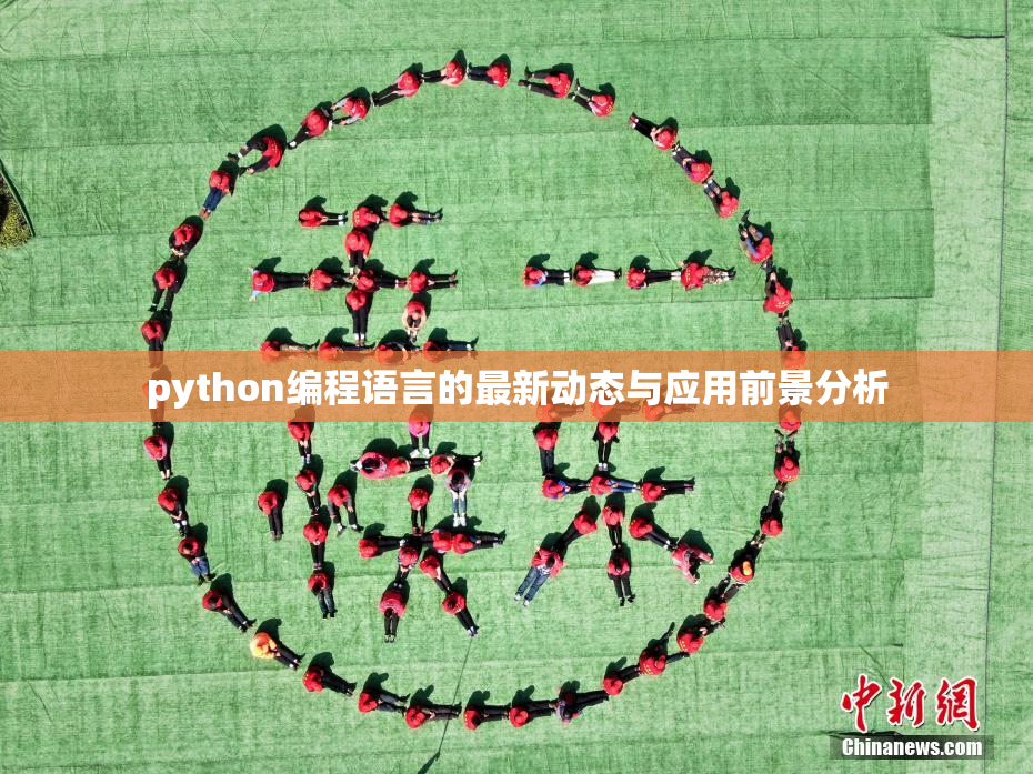 python编程语言的最新动态与应用前景分析