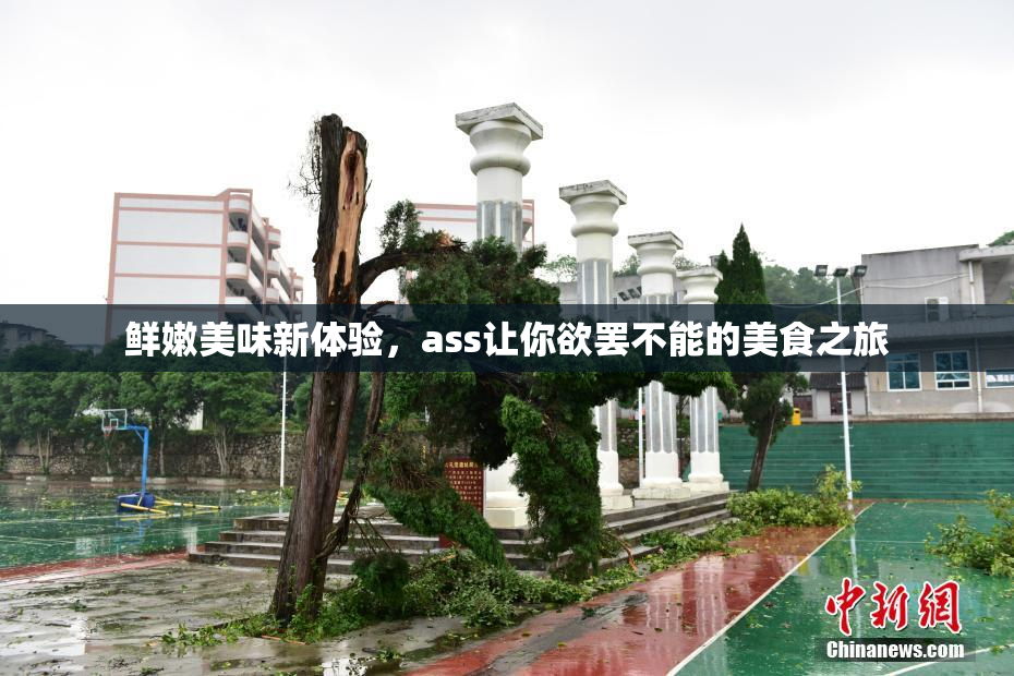 鲜嫩美味新体验，ass让你欲罢不能的美食之旅