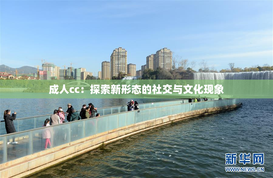 成人cc：探索新形态的社交与文化现象