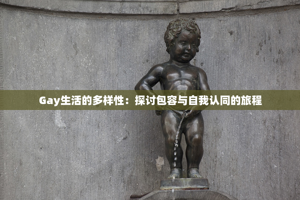 Gay生活的多样性：探讨包容与自我认同的旅程