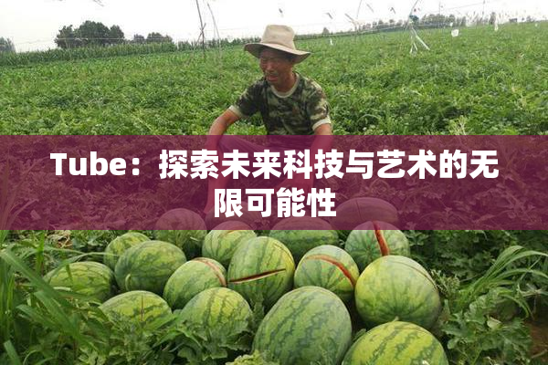 Tube：探索未来科技与艺术的无限可能性