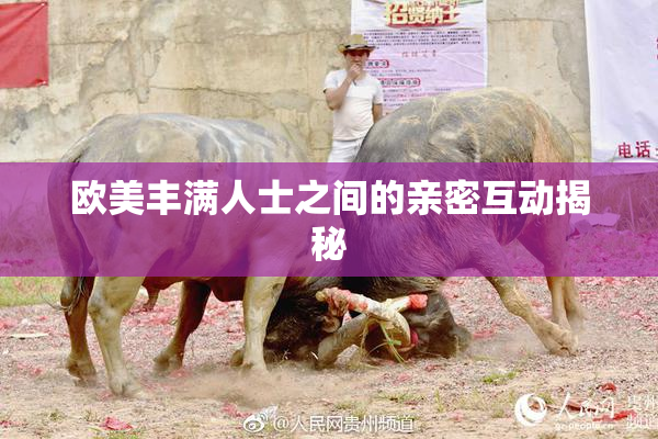 欧美丰满人士之间的亲密互动揭秘