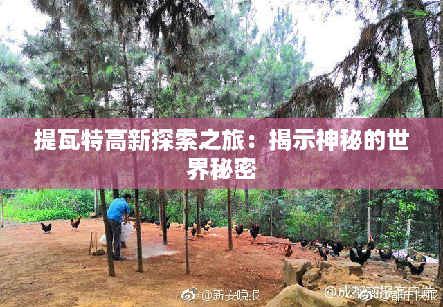 提瓦特高新探索之旅：揭示神秘的世界秘密