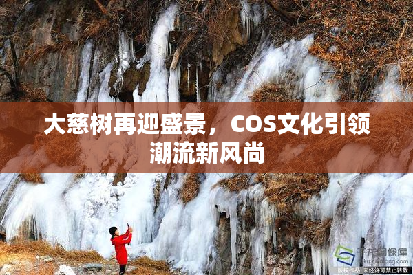 大慈树再迎盛景，COS文化引领潮流新风尚