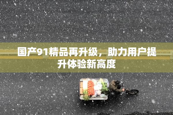 国产91精品再升级，助力用户提升体验新高度