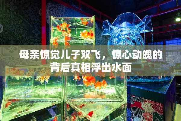 母亲惊觉儿子双飞，惊心动魄的背后真相浮出水面