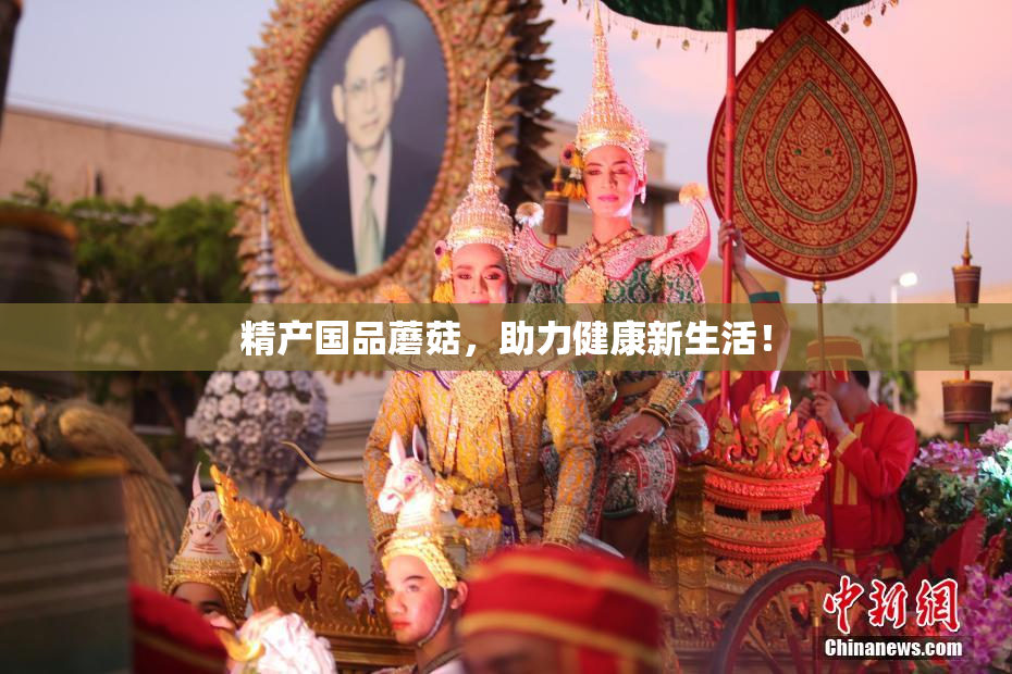精产国品蘑菇，助力健康新生活！