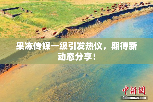 果冻传媒一级引发热议，期待新动态分享！