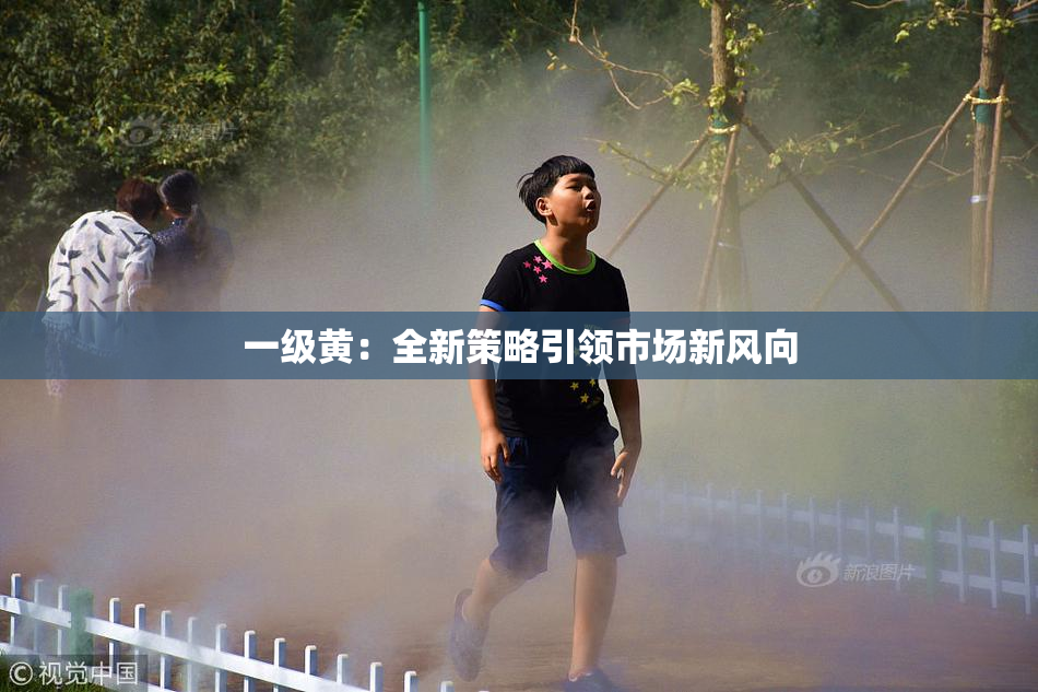 一级黄：全新策略引领市场新风向
