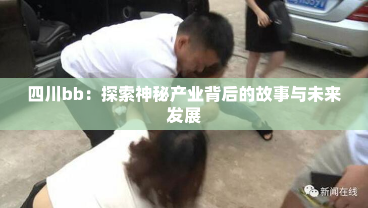 四川bb：探索神秘产业背后的故事与未来发展
