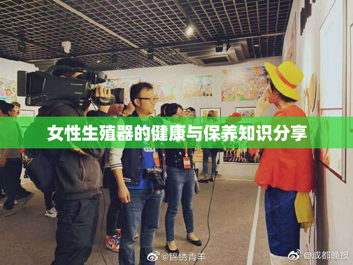 女性生殖器的健康与保养知识分享