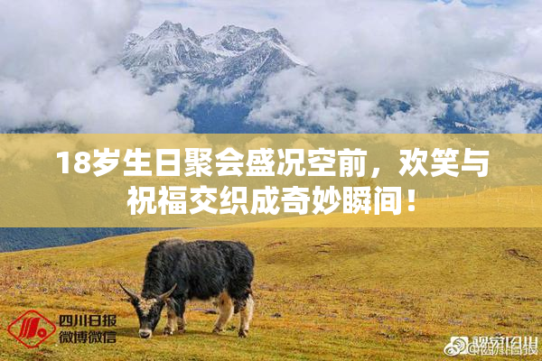 18岁生日聚会盛况空前，欢笑与祝福交织成奇妙瞬间！
