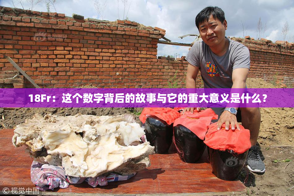 18Fr：这个数字背后的故事与它的重大意义是什么？