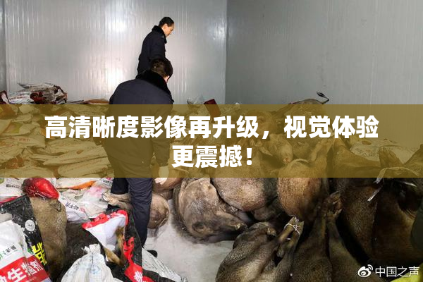 高清晰度影像再升级，视觉体验更震撼！