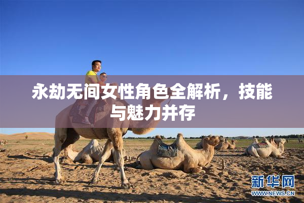永劫无间女性角色全解析，技能与魅力并存