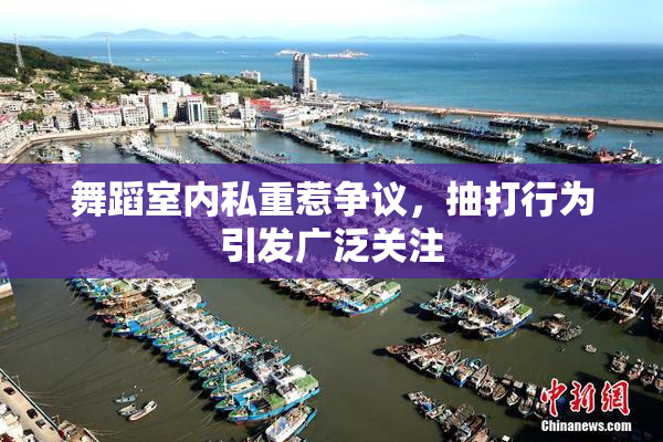 舞蹈室内私重惹争议，抽打行为引发广泛关注