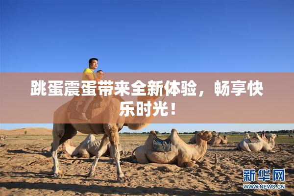 跳蛋震蛋带来全新体验，畅享快乐时光！